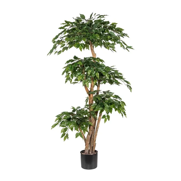 Kunstpflanze Ficus Benjamini, Höhe ca. 160 cm