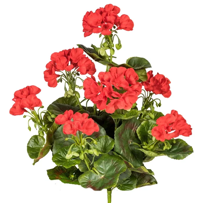 Kunstpflanze Geranienbusch, rot, Höhe ca. 40 cm