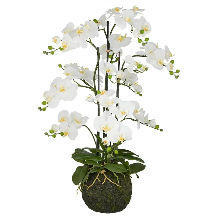 Kunstpflanze Orchidee in Weiß mit Real Touch Effekt Bestellnummer 8000904