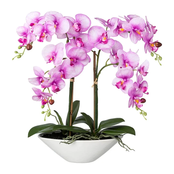 Kunstpflanze Phalaenopsis ‚Real Touch‘, Höhe ca. 53 cm