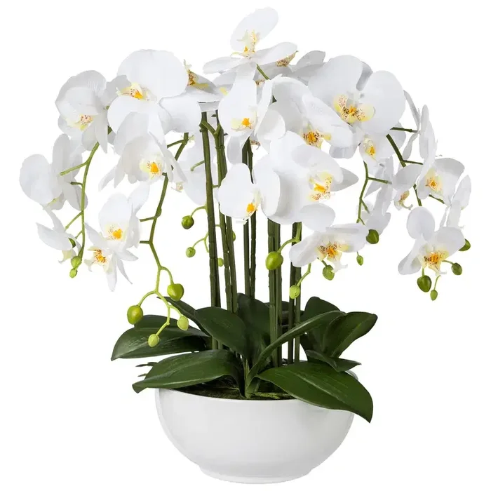 Kunstpflanze Phalaenopsis, weiß, Höhe ca. 54 cm