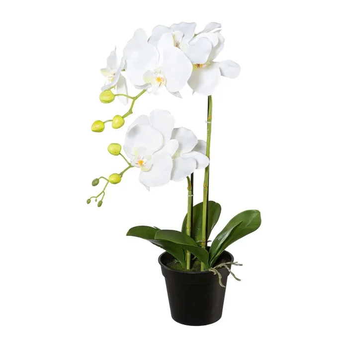 Kunstpflanze Phalaenopsis, weiß, Höhe ca. 55 cm