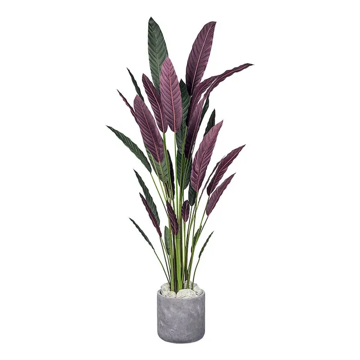 Kunstpflanze Stromanthe thalia (ca. 210 cm) Bestellnummer 8000502