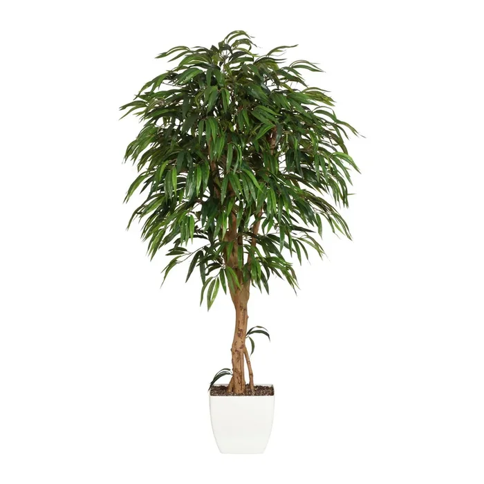 Kunstpflanze Weeping Ficus, Höhe ca. 180 cm