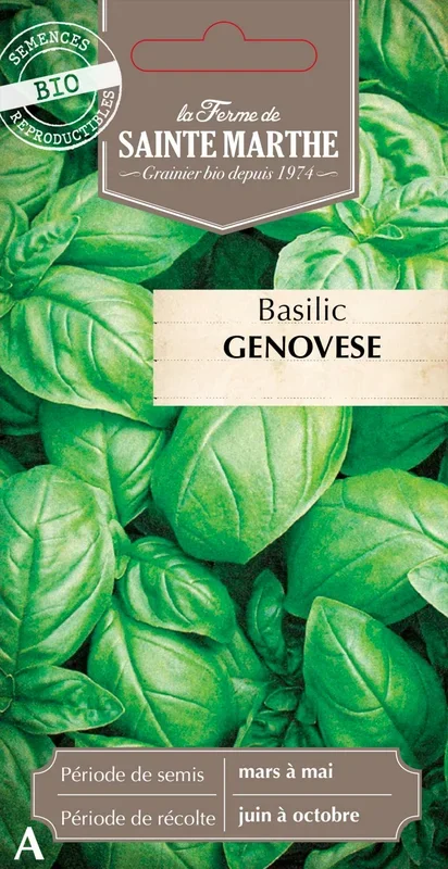La Ferme de Sainte Marthe Basilikum „Genovese“