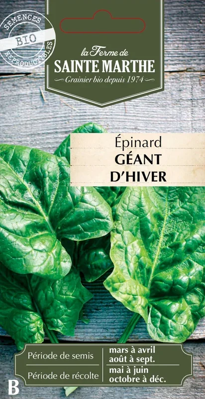 La Ferme de Sainte Marthe Spinat „Géant d’Hiver“