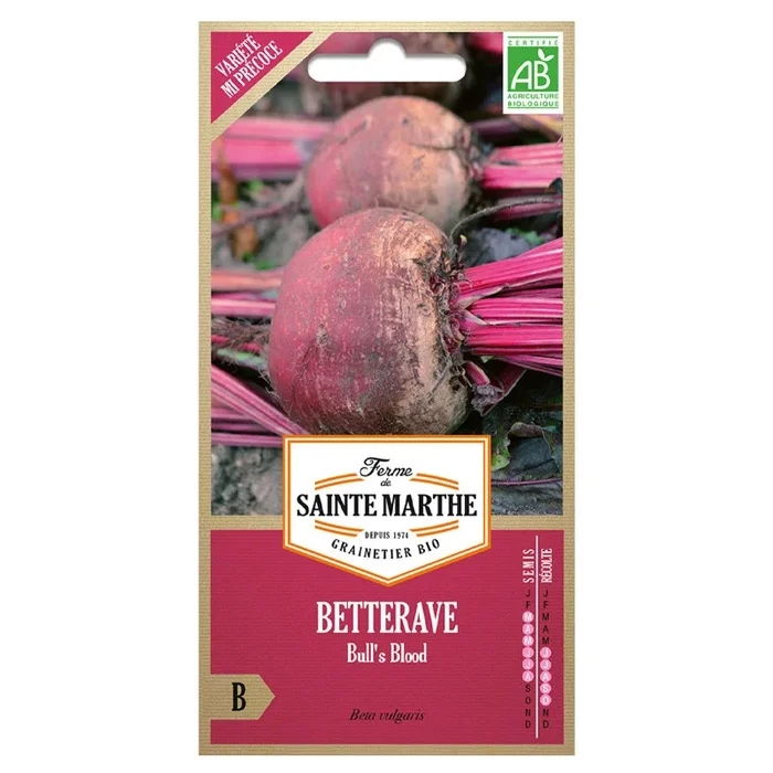 La ferme Sainte Marthe – 150 Samen AB – Rote Bete bull’s blood
