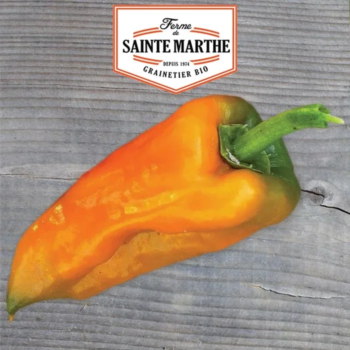 La ferme Sainte Marthe – 30 Samen Paprika Petit Marseillais