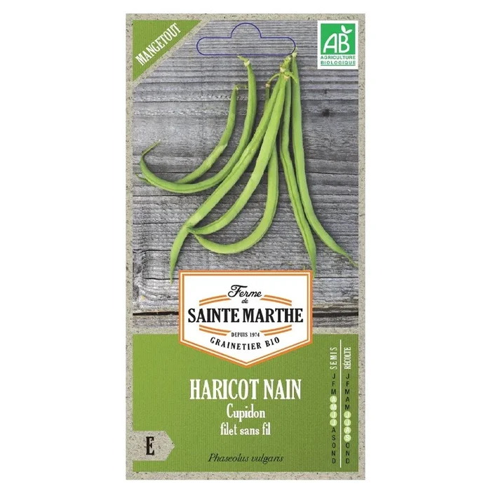 La ferme Sainte Marthe – 325 Samen AB – Zwergbohne Amor Netz ohne Faden mangetout
