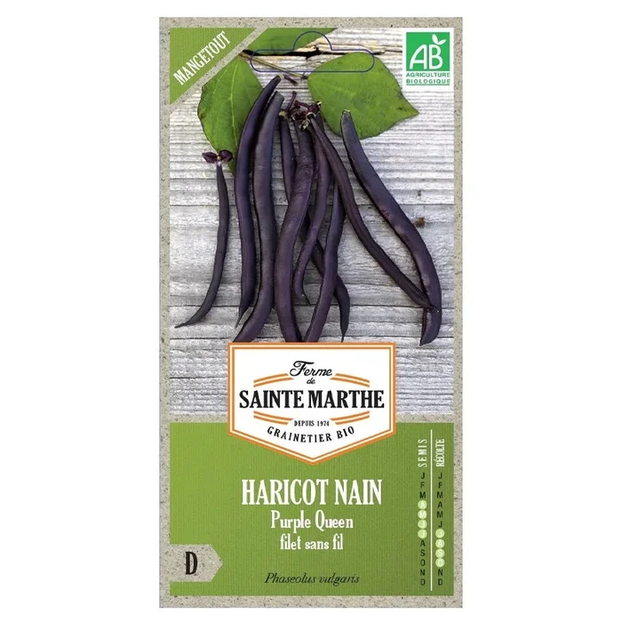 La ferme Sainte Marthe – 350 Samen AB – Zwergbohne purple queen filet sans fil mangetout