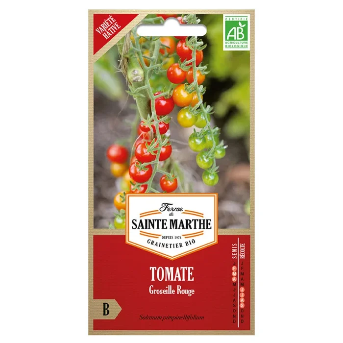 La ferme Sainte Marthe – 50 Samen AB – Rote Johannisbeertomate Typ petit moineau (kleiner Spatz)
