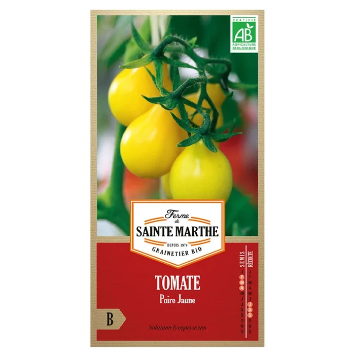 La ferme Sainte Marthe – 50 Samen AB – Tomate Gelbe Birne