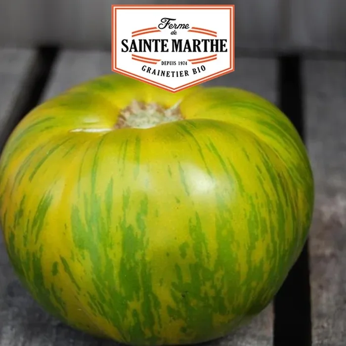 La ferme Sainte Marthe – 50 Samen Tomate Green Zebra