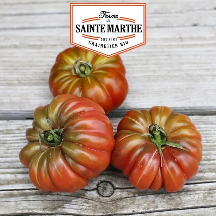 La ferme Sainte Marthe – 50 Samen Tomate Purple Calabash