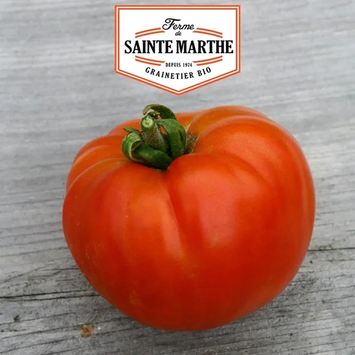 La ferme Sainte Marthe – 50 Samen Tomate Reine