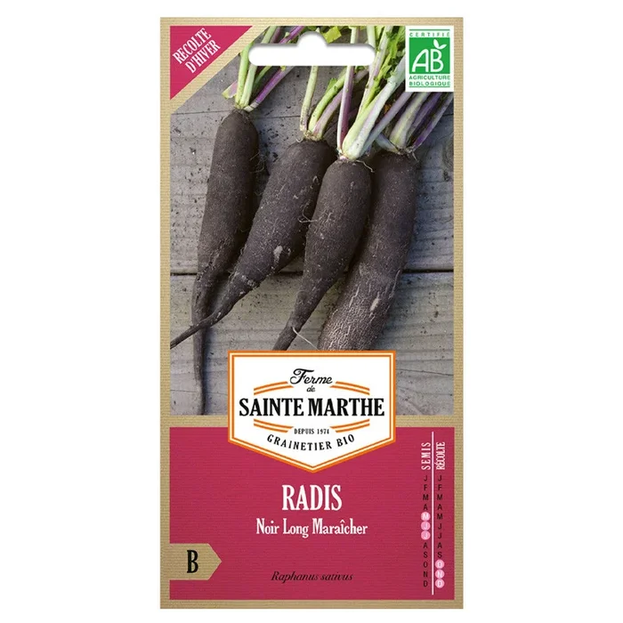 La ferme Sainte Marthe – 500 Samen AB – Schwarzer Rettich lang Gemüsebauer