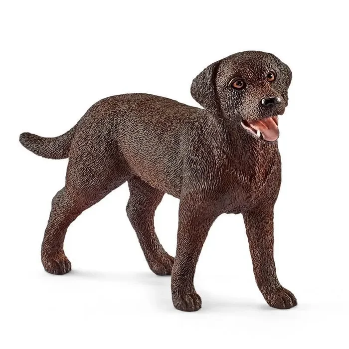 LABRADOR RETRIEVER WEIBLICH