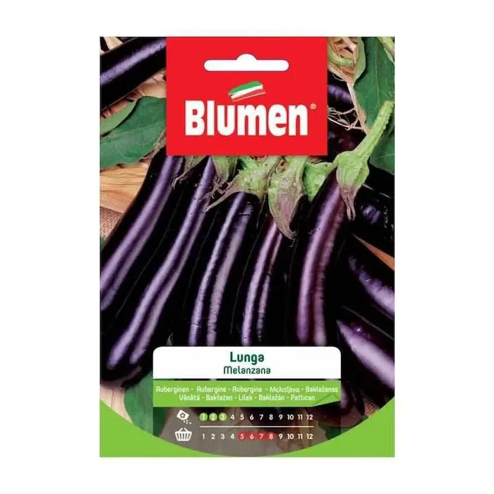Lange Auberginensamen im Beutel