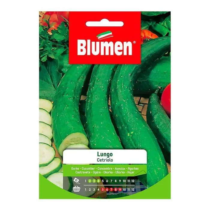 Lange Gurkensamen im Beutel