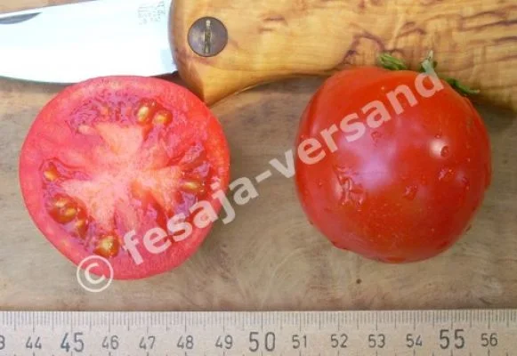 Liebesapfel · Tomaten · Samen