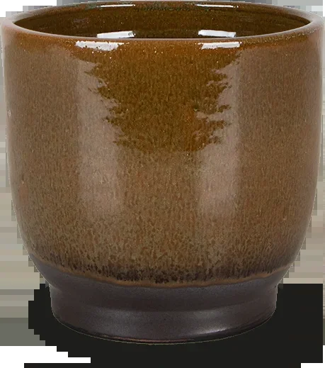 Linn (17cm)