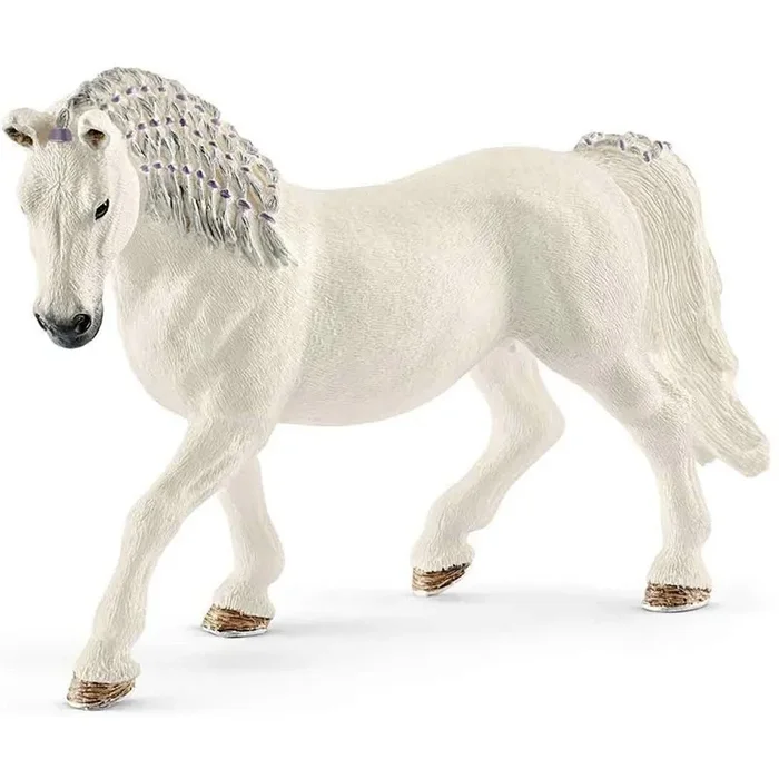 LIPIZZAN STUTE