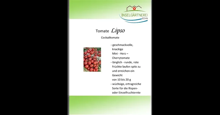 Lipso