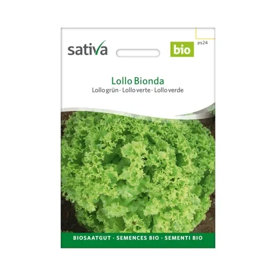 Lollo grün Lollo Bionda Biosamen ps24