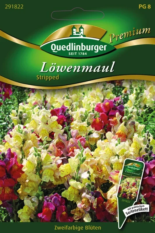 Löwenmaul Stripped