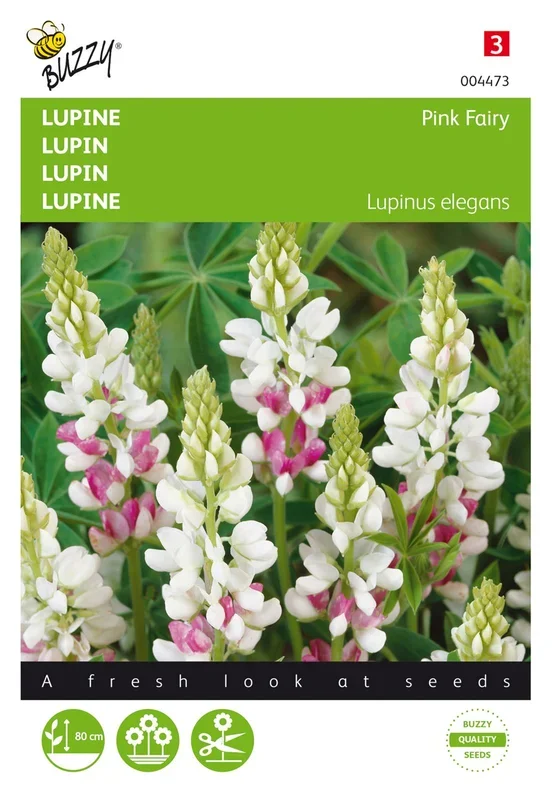 Lupine Pink Fairy