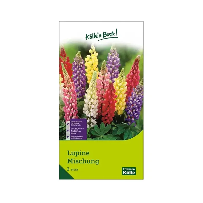 Lupinen Mischung, 3 Blumenzwiebeln