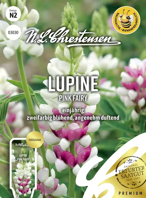 Lupinensamen ‚Pink Fairy‘