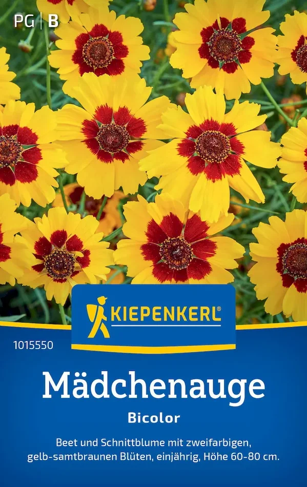 Mädchenaugensamen Bicolor