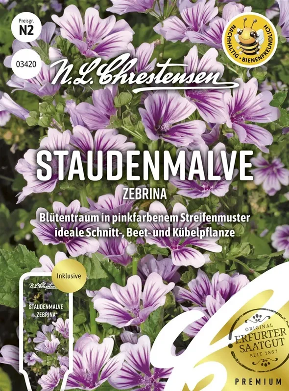 Malvensamen ‚Zebrina‘