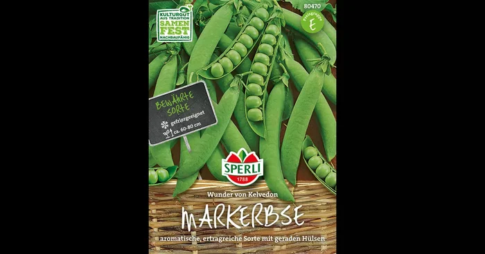 Markerbse ‚Wunder von Kelvedon‘