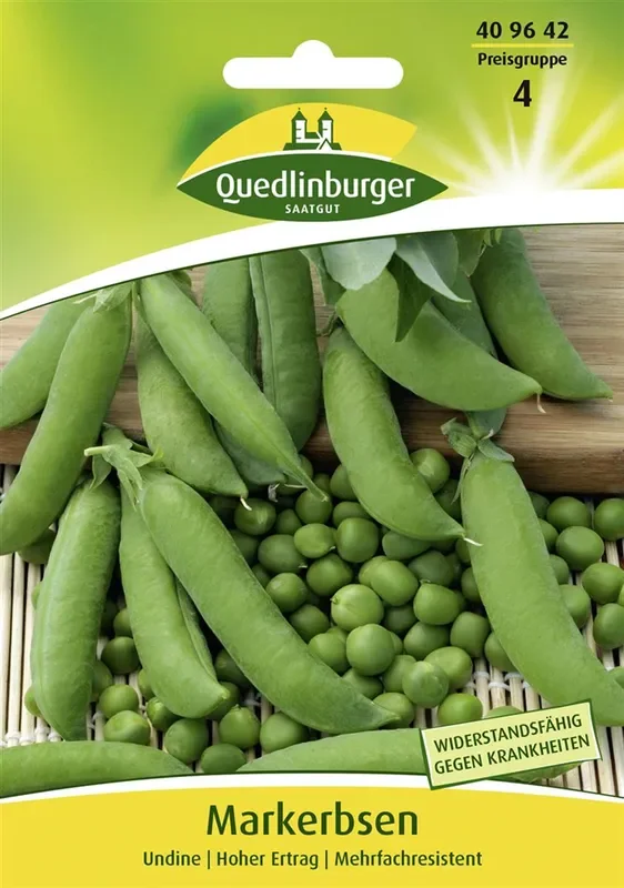 Markerbsensamen ‚Undine‘