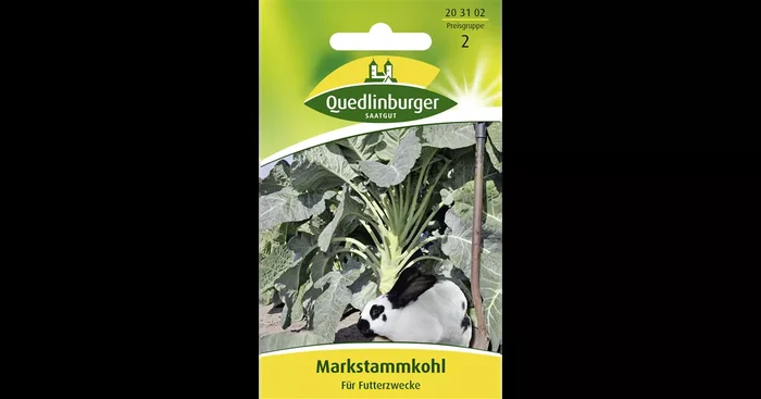 Markstammkohlsamen