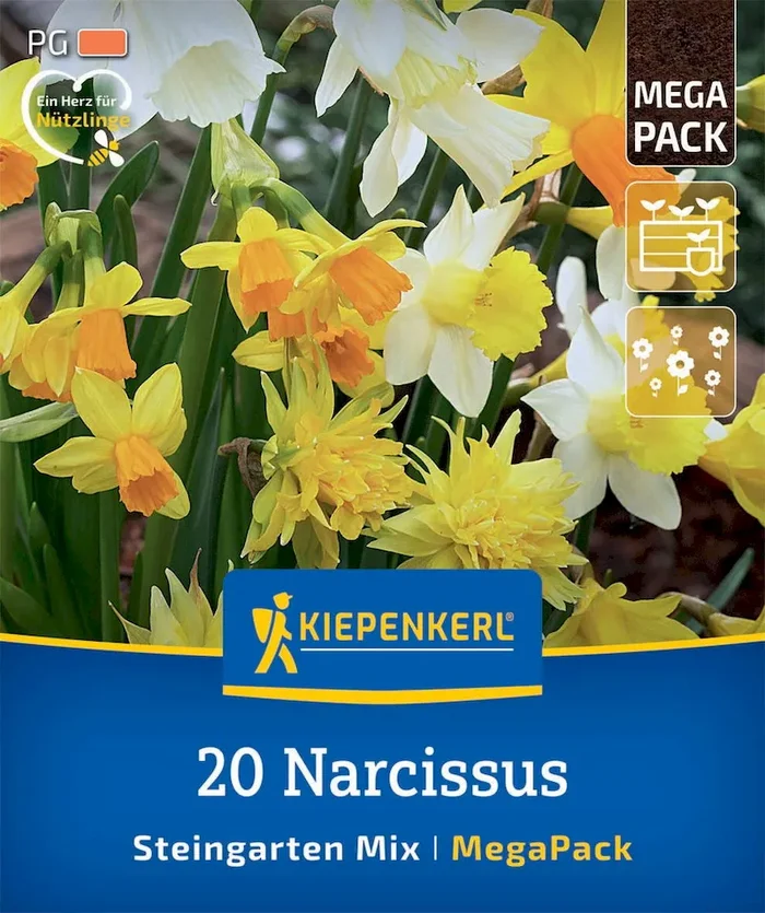 Mega-Pack Steingarten-Narzissen Mischung
