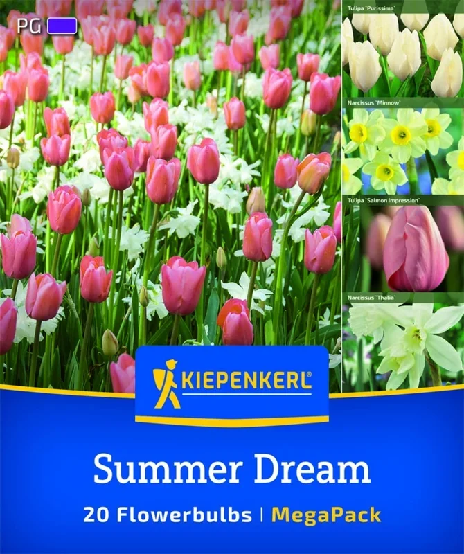Mega Pack Summer Dream, 20 Stück, Herbstblumenzwiebeln Kiepenkerl