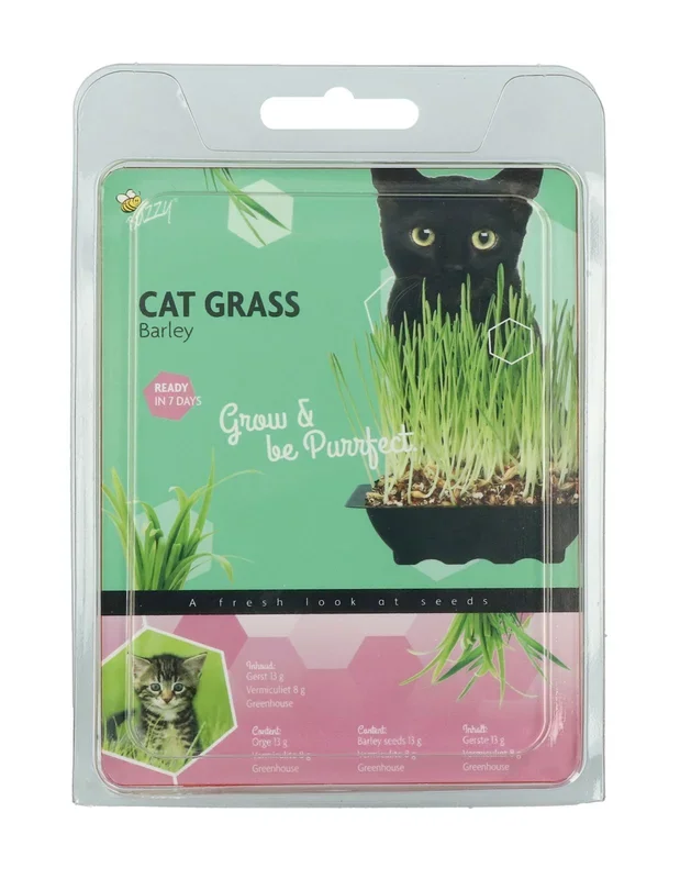 Mini-Gewächshaus Katzengras