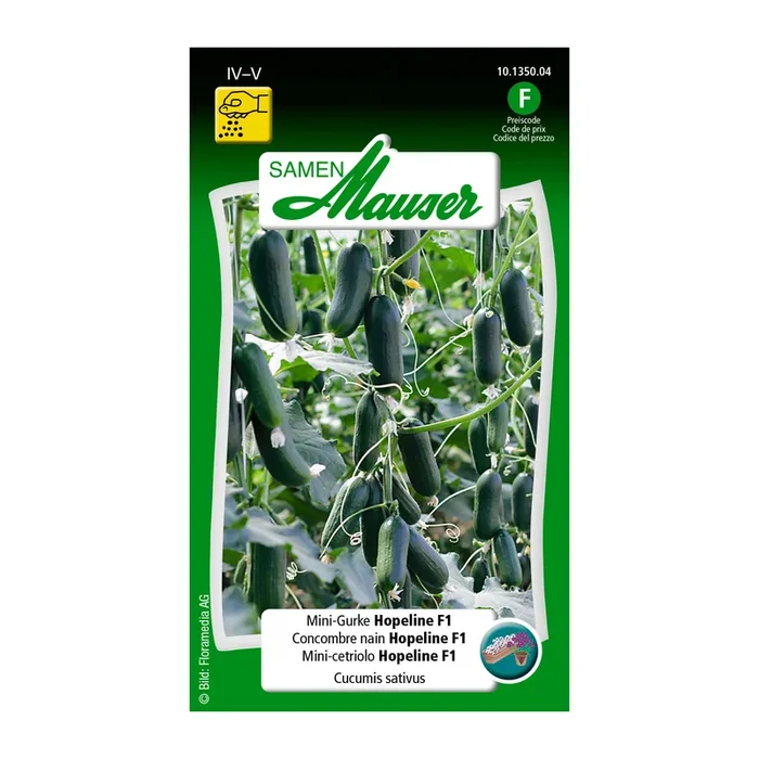 Mini-Gurke ‚Hopeline F1‘