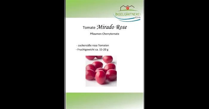Mirado Rose