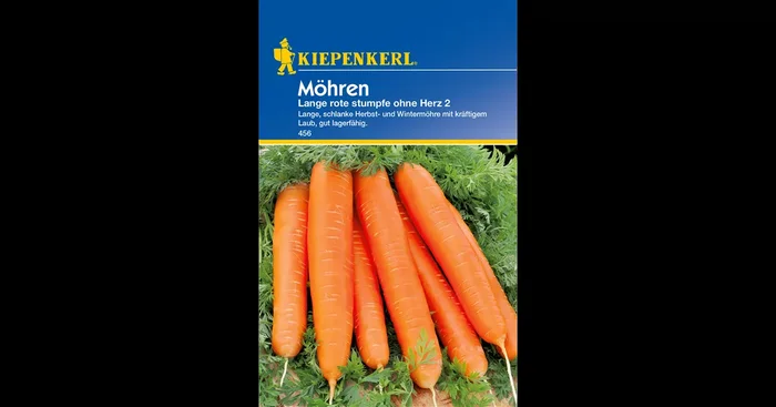 Möhre ‚Lange, Rote, Stumpfe ohne Herz 2‘