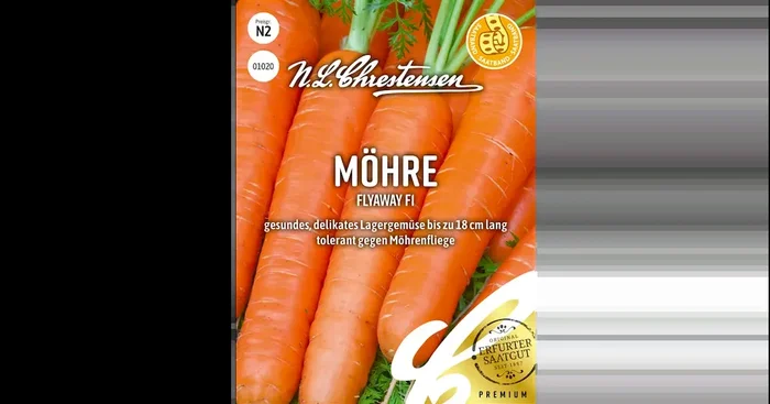 Möhre Flyaway F1