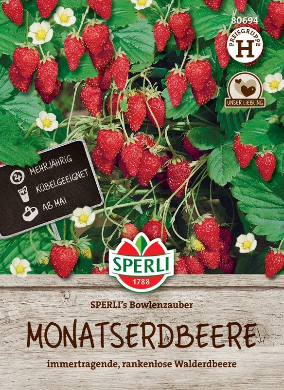 Monatserdbeere Bowlenzauber [MHD 01/2024]