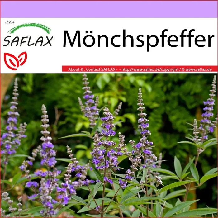 Mönchspfeffer – Vitex agnus-castus – Heilpflanzen