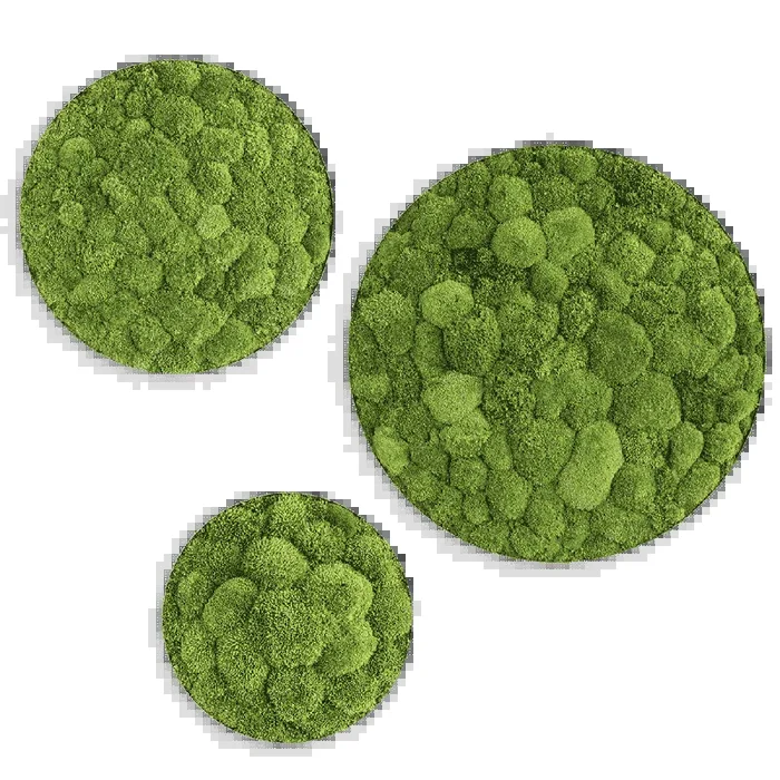 Moosbild ELLIPSOID Ballenmoos 3er Set