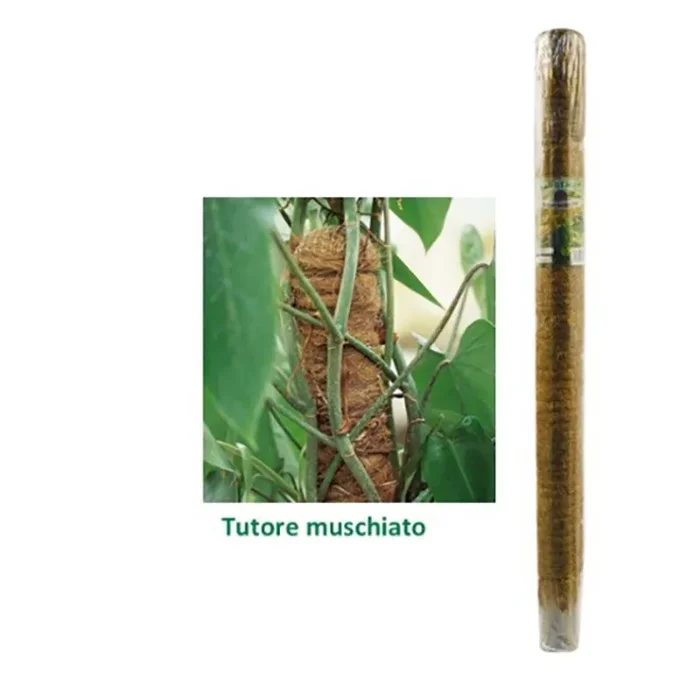 MUSKY BRACE D50 H100CM
