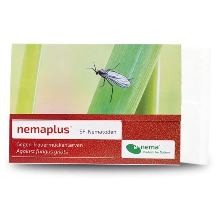 NemaPlus SF Nematoden zur Bekämpfung von Trauermücken 500 Mio für 1000m²