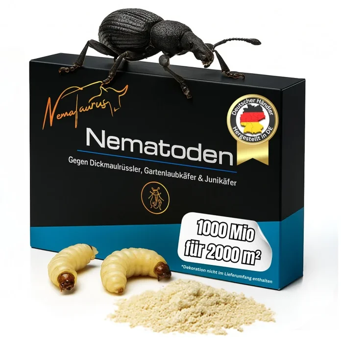 NemaTaurus® HB Nematoden | 250 Mio für 500 m² | gegen Dickmaulrüssler
